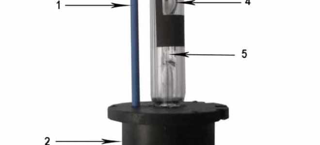 D2R ксенон — какие лампы лучше