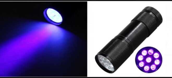 Ультрафиолетовый фонарь: как выбрать и для чего нужен