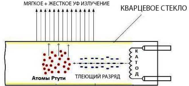 Отличие ультрафиолетовой лампы от кварцевой: принцип работы