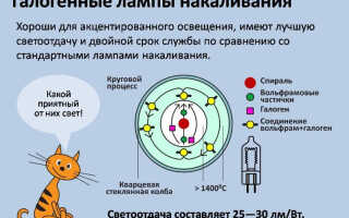 Выбираем галогенную лампу, разбираем все плюсы и минусы