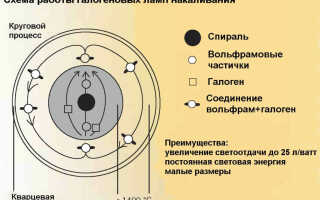 Как подобрать качественные галогенные лампы, все плюсы и минусы
