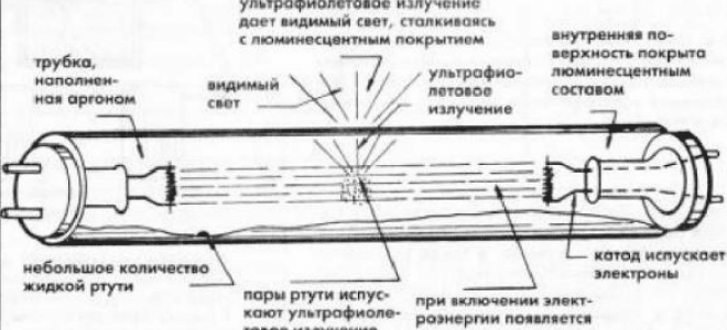 Люминесцентные лампы: как выбирать и какие плюсы