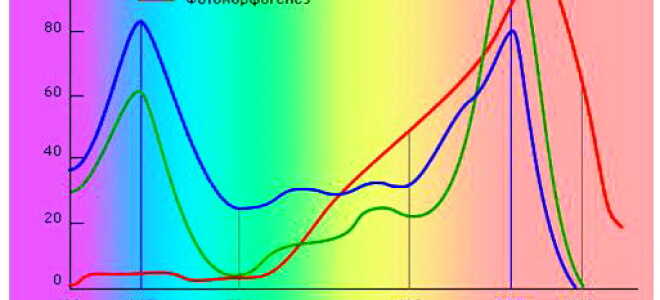 Как выбрать качественные светодиодные лампы для растений