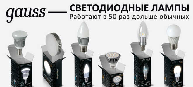 Светодиодные лампы Gauss, плюсы и минусы популярной продукции