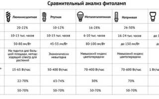 По каким критериям выбратать светильники для растений