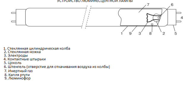 Насколько эффективна люминесцентная лампа для растений