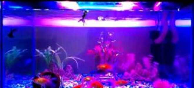 Как своими руками сделать светодиодный светильник для аквариума