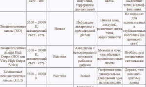 Какие выбрать лампы для освещения аквариума, обзор видов