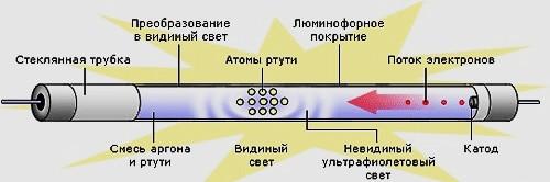 46868310.jpg