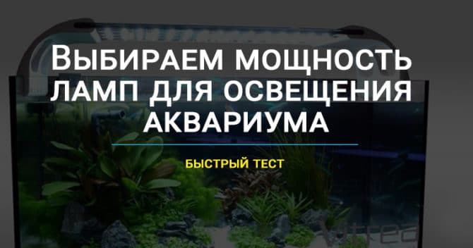 Как выбрать подходящий светильник для аквариума