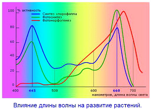Длинна волны для успешщного роста