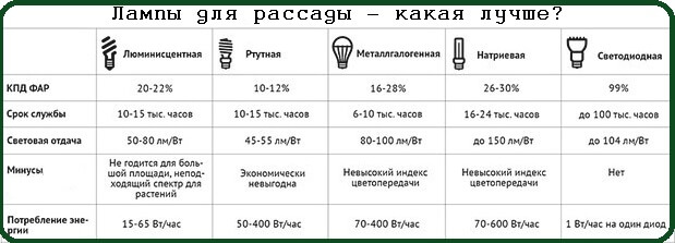 Сравнение различных видов ламп