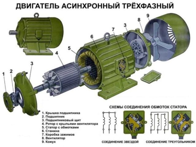 Как устроен асинхронный двигатель: устройство и компоновка деталей
