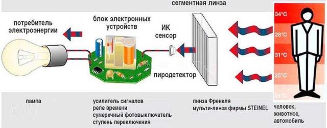 Принцип работы освещения с датчиком движения 