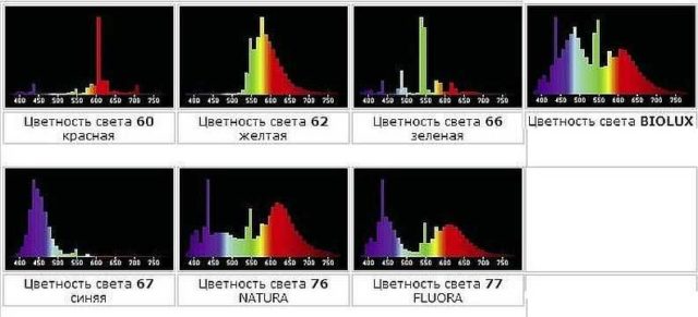 Люминесцентная фитолампа: спектры для разных растений 