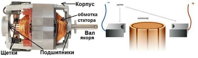 К парным пластинам коллектора прижимаются графитовые щетки